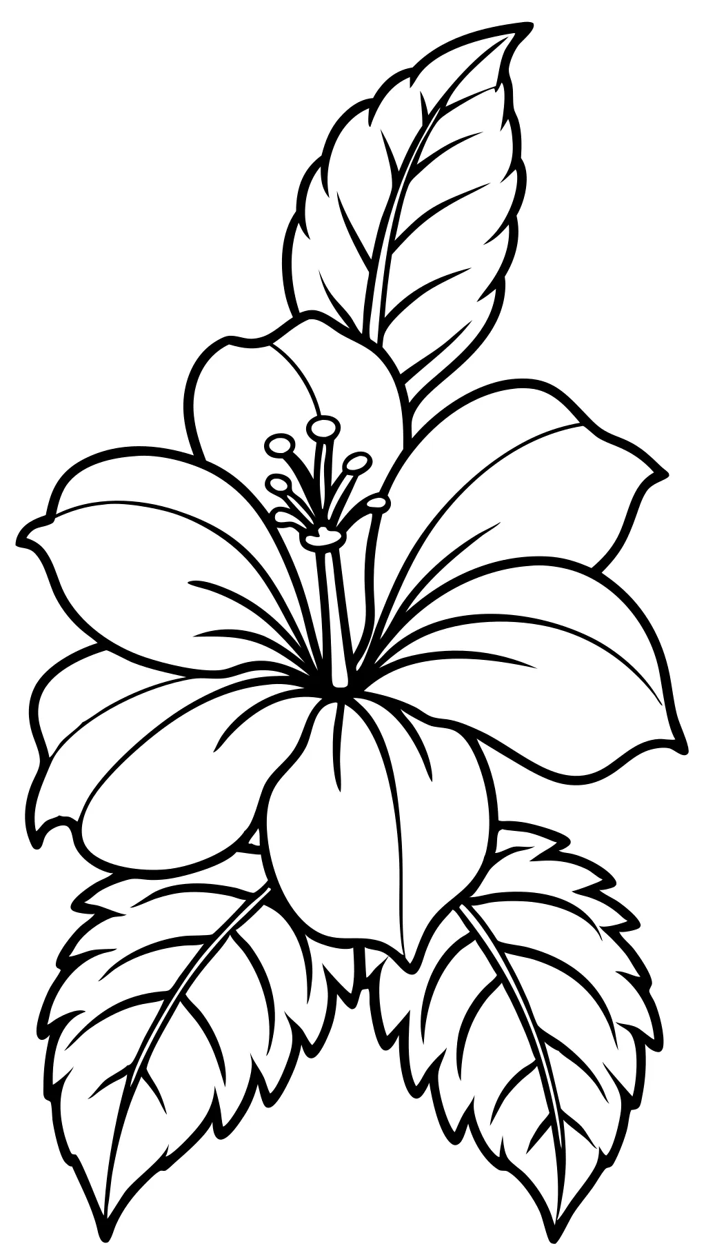 hawaiian flower coloring pages